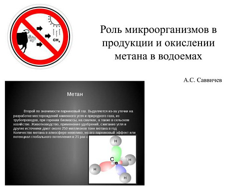 Роль микроорганизмов в продукции и окислении метана в водоемах