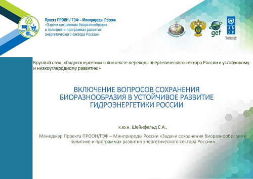 Включение вопросов сохранения биоразнообразия в устойчивое развитие гидроэнергетики России