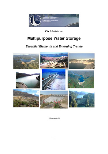 B171-preprint.Multipurpose Water Storage