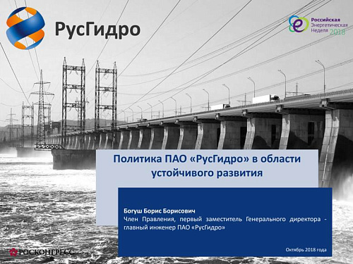 Политика ПАО «РусГидро» в области устойчивого развития
